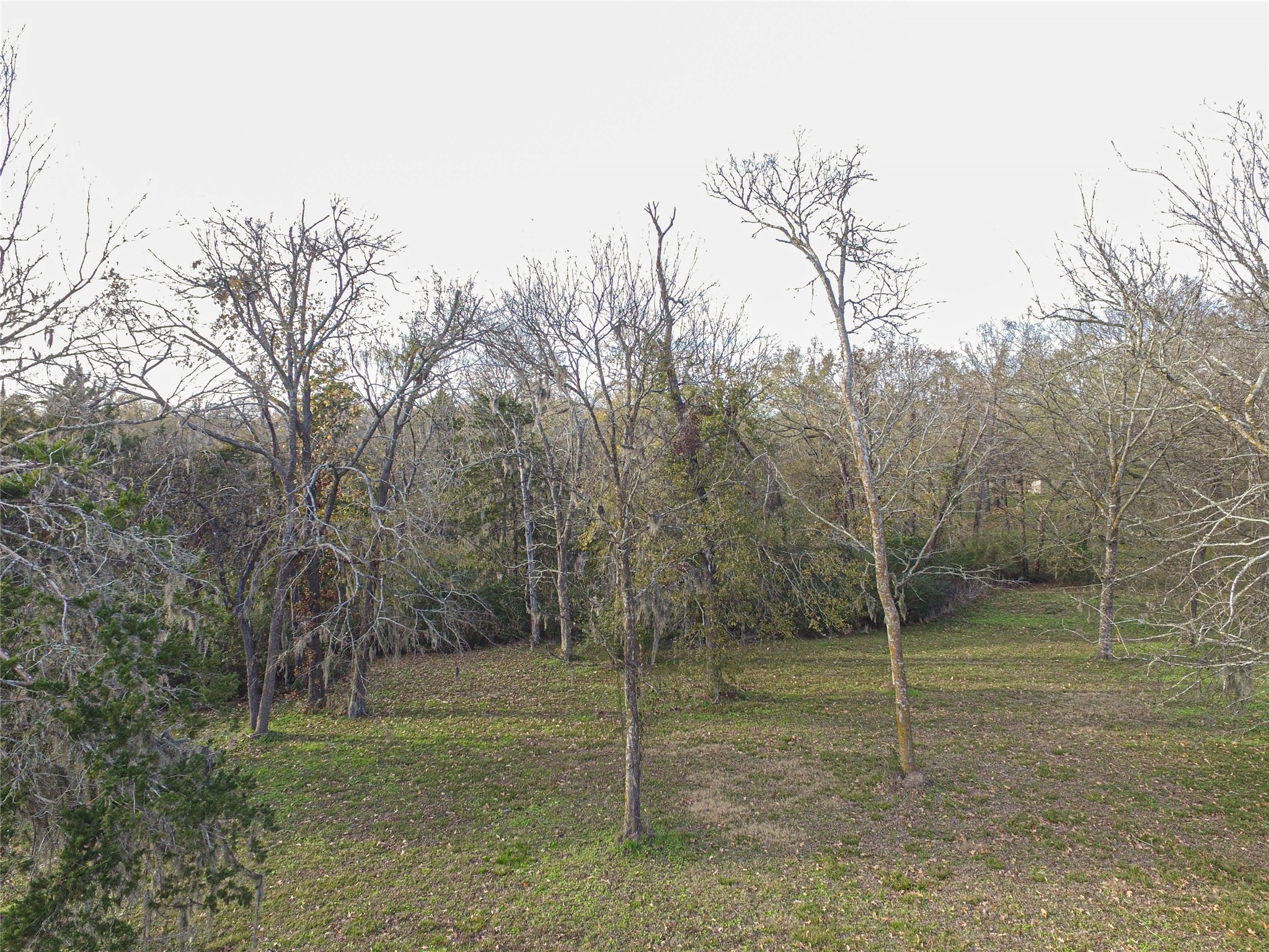 131 Legacy Boulevard Point Blank, TX 77364 - Photo 12 of 17 Well shaded lot in the summer, mostly cleared in the front and densely treed on back boundary.