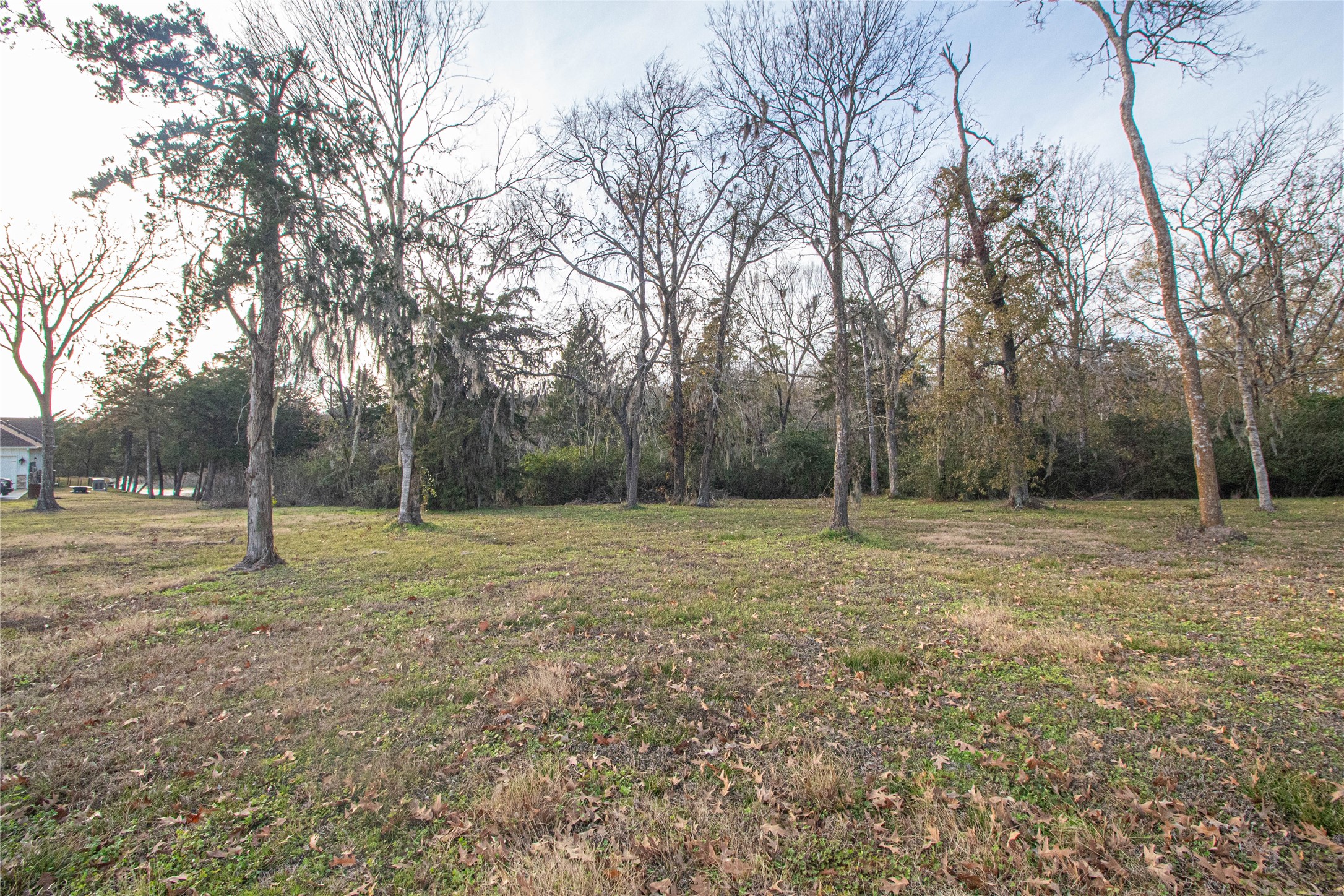 131 Legacy Boulevard Point Blank, TX 77364 - Photo 16 of 17 Looking to the back of the lot you can see the lands elevation up the hill to a level lot with gentle shading tress around the homesite . The back boundary of property is a more densely covered in trees.