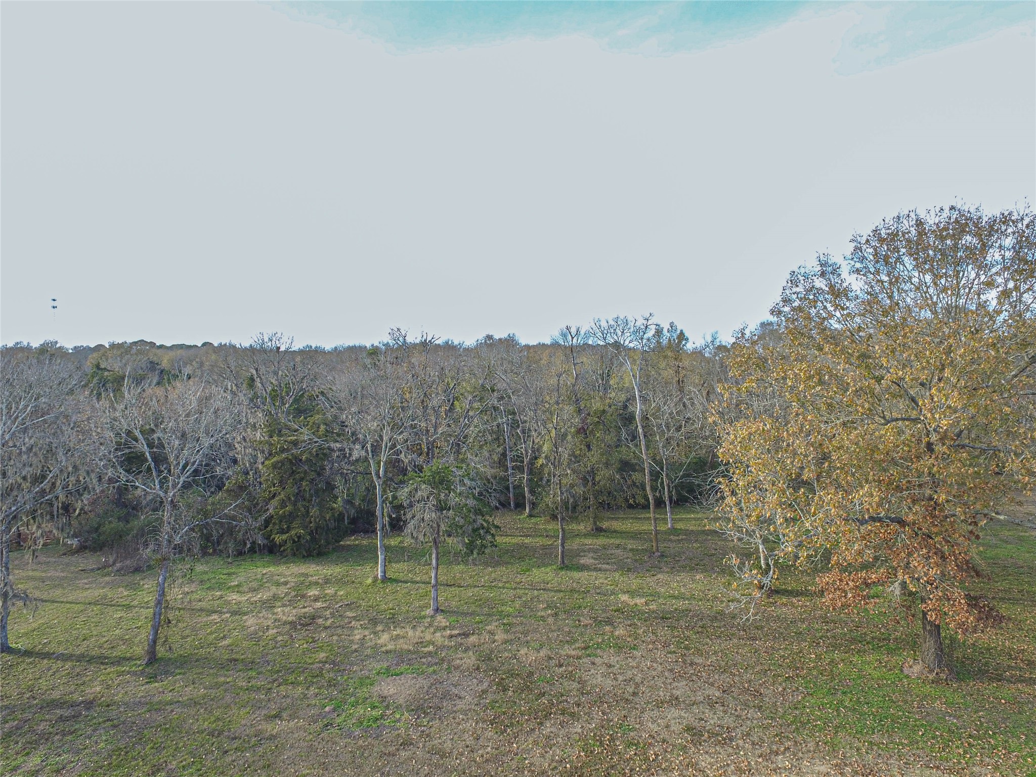 131 Legacy Boulevard Point Blank, TX 77364 - Photo 4 of 17 Wide open well drained lot , This Arial view of lot from front to back of lot.