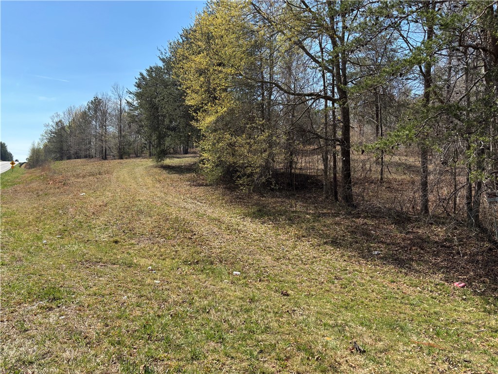 0 South S Highway Fair Play, SC 29643 - Photo 4 of 28