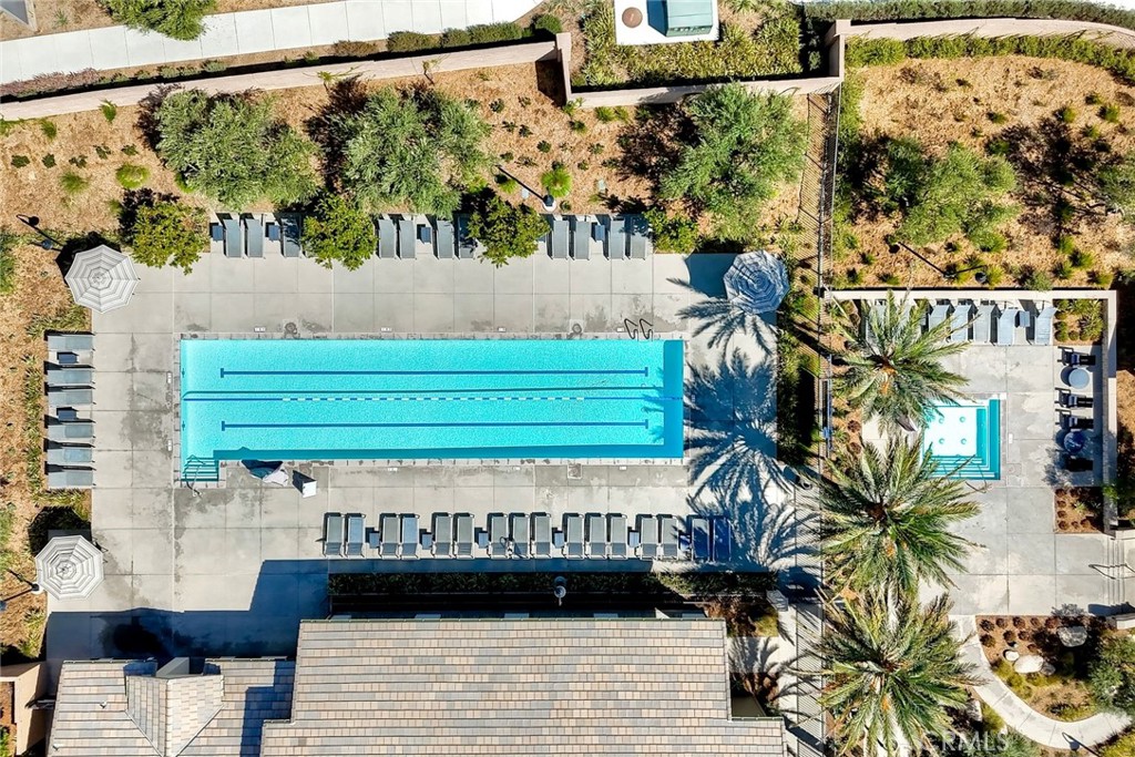 32711 Brunello Way Temecula, CA 92591 - Photo 39 of 70 Lap pool