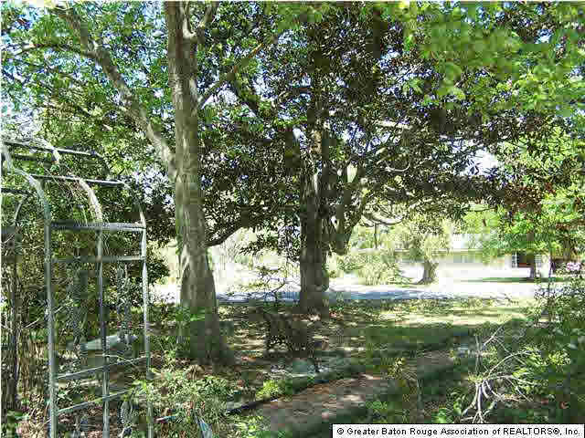 40129 Coontrap Road Gonzales, LA 70737 - Photo 3 of 5 Gallery Image 3