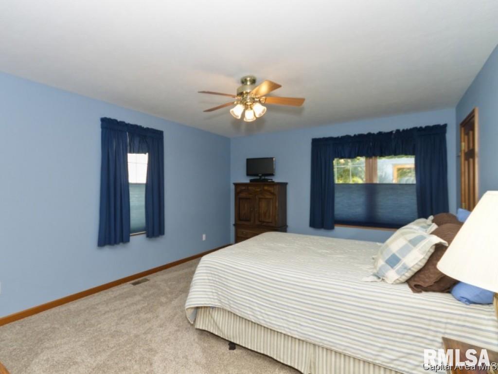 1408 James Street Springfield, IL 62703 - Photo 14 of 22
