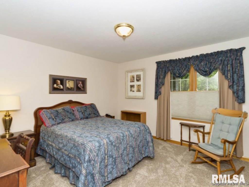 1408 James Street Springfield, IL 62703 - Photo 15 of 22