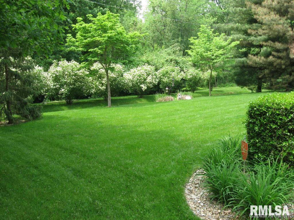 1408 James Street Springfield, IL 62703 - Photo 19 of 22