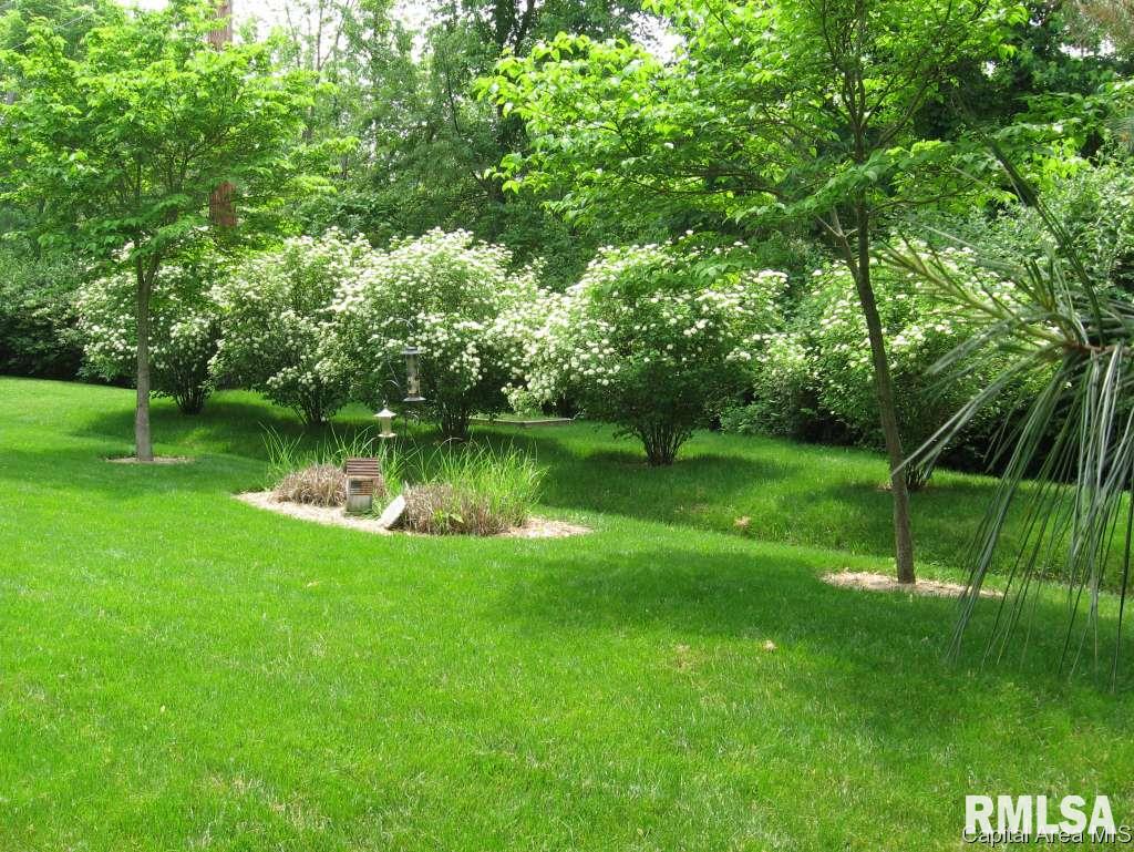 1408 James Street Springfield, IL 62703 - Photo 20 of 22