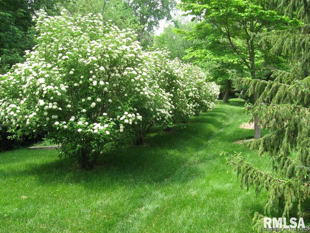 1408 James Street Springfield, IL 62703 - Photo 21 of 22