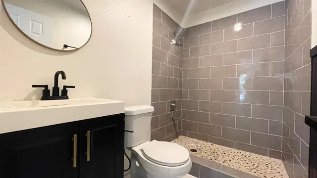 a bathroom with a sink a toilet and a mirror