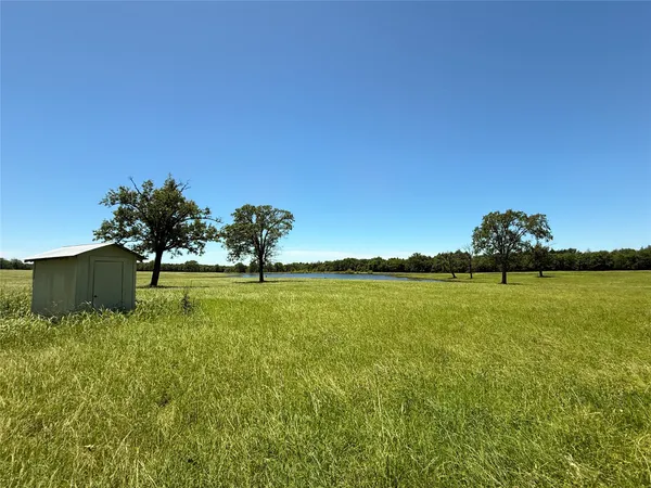 a view of a garden