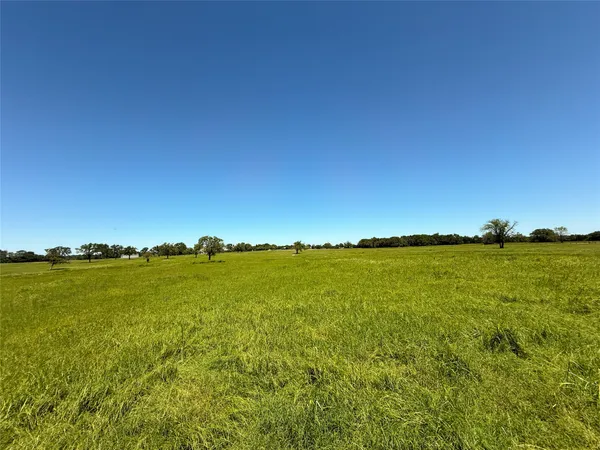 a big yard with lots of green space