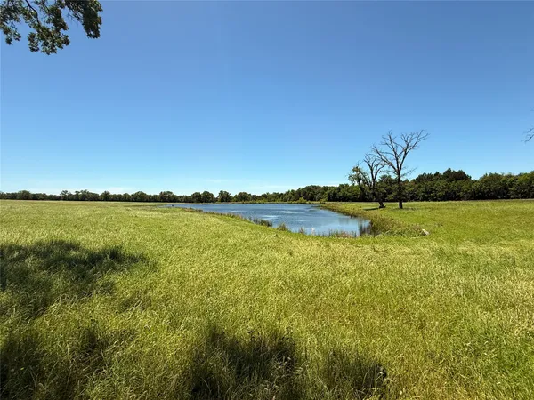 a view of an ocean from a yard