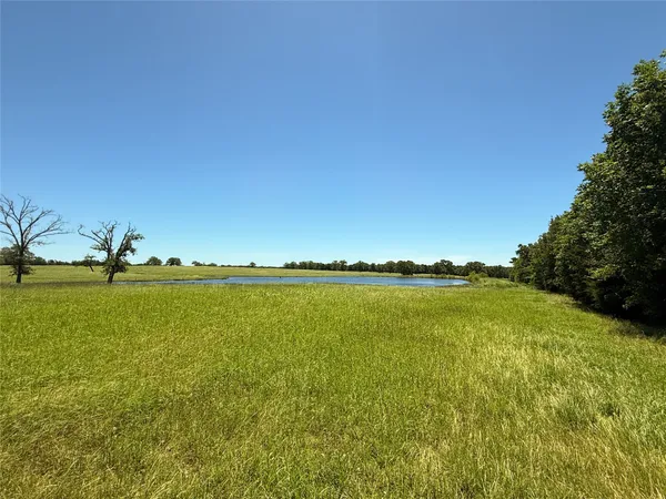 a view of yard with ocean view