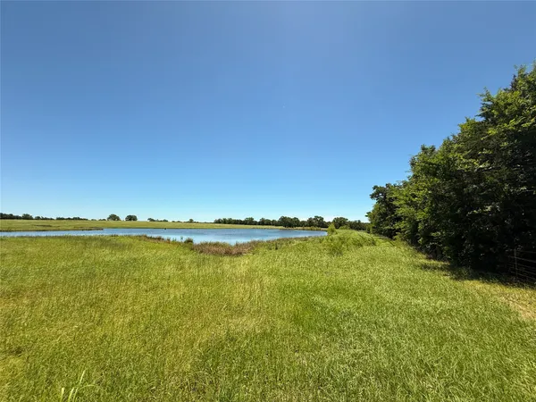 a view of an ocean from a yard