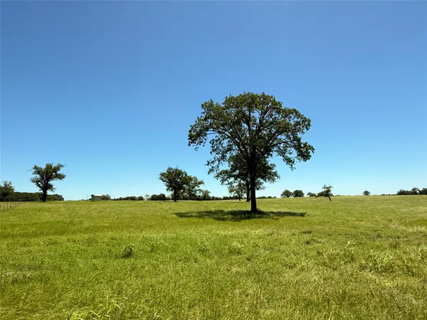 a view of an ocean from a field