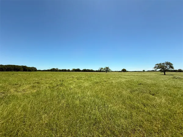a view of a two chairs in the garden