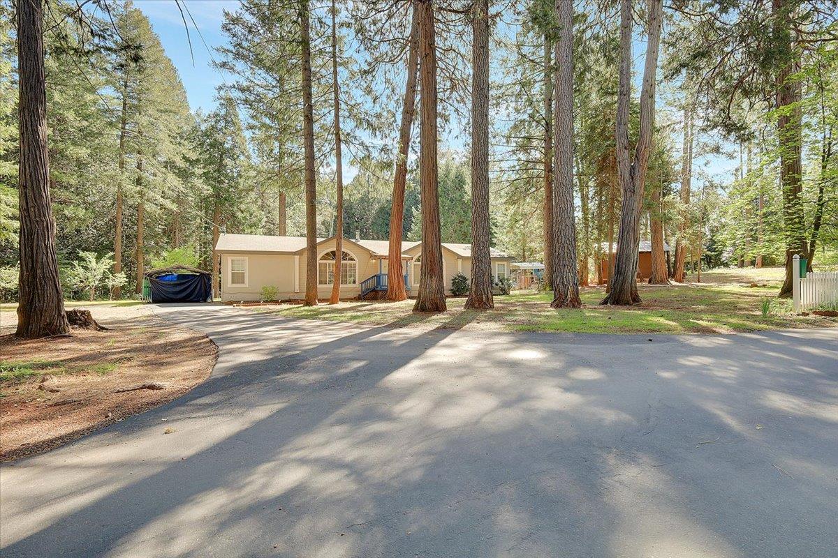 138 Big Fir Road Forbestown, CA 95941 - Photo 3 of 56 a view of a house with a large trees