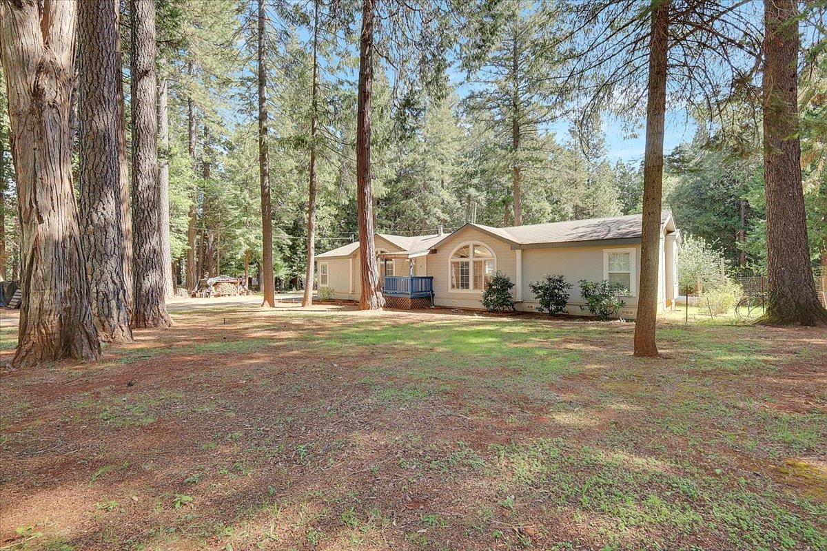 138 Big Fir Road Forbestown, CA 95941 - Photo 4 of 56 a view of a house with backyard and trees