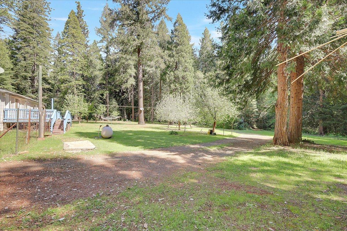 138 Big Fir Road Forbestown, CA 95941 - Photo 42 of 56 a view of yard with tree and a yard