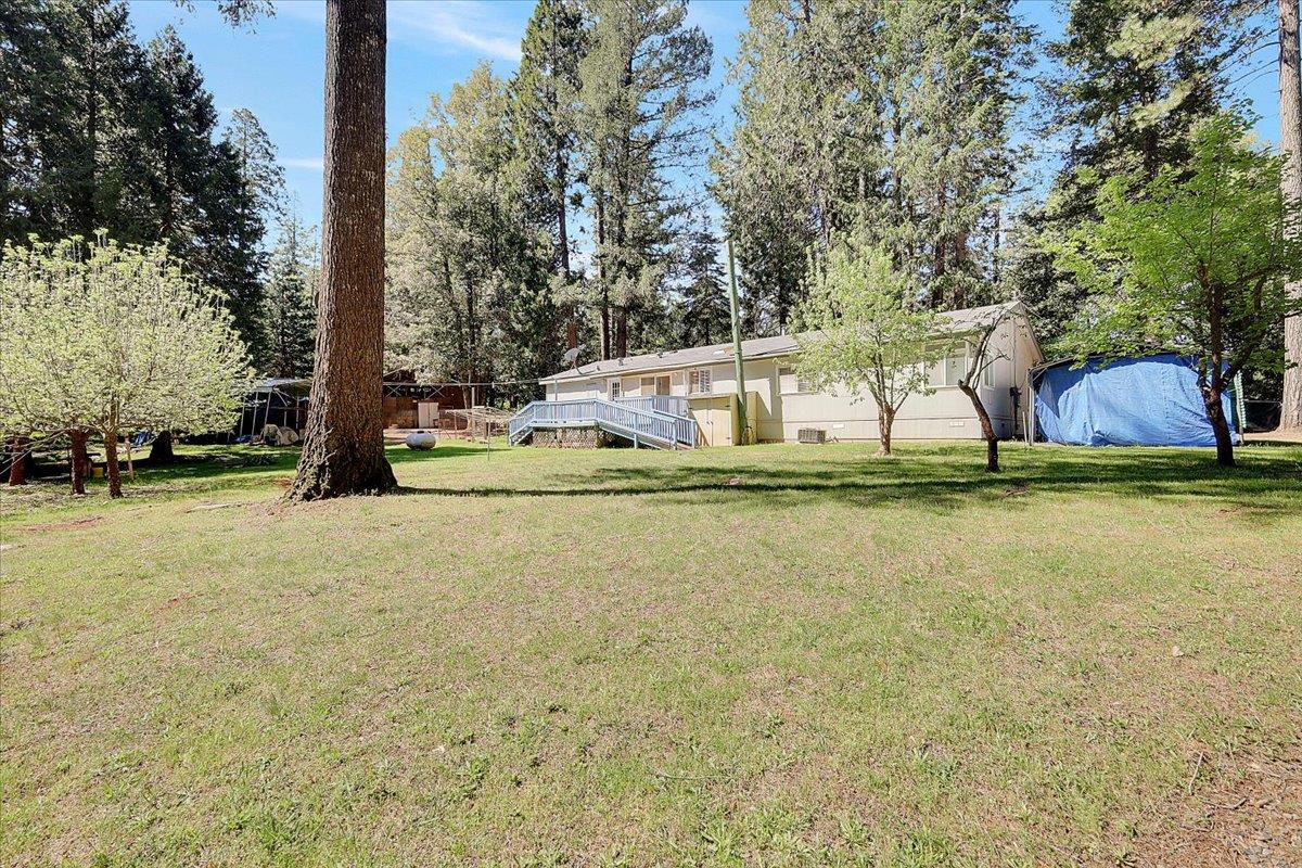 138 Big Fir Road Forbestown, CA 95941 - Photo 47 of 56 a view of swimming pool with trees