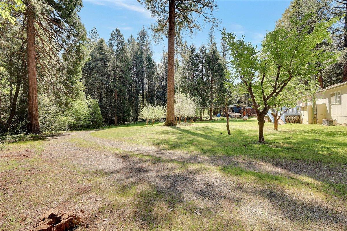 138 Big Fir Road Forbestown, CA 95941 - Photo 48 of 56 a view of outdoor space with trees all around