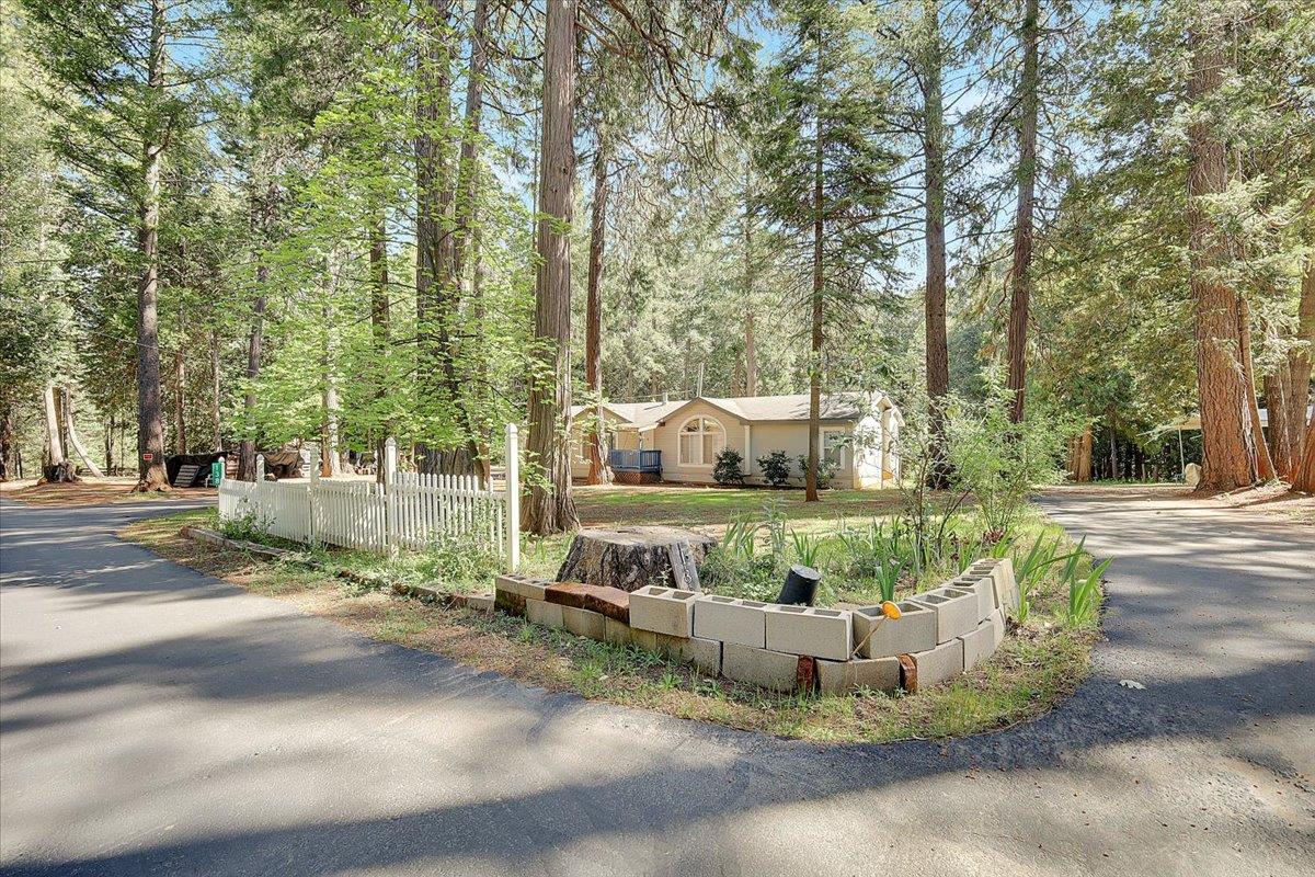 138 Big Fir Road Forbestown, CA 95941 - Photo 6 of 56 a white house that has a tree in front of it