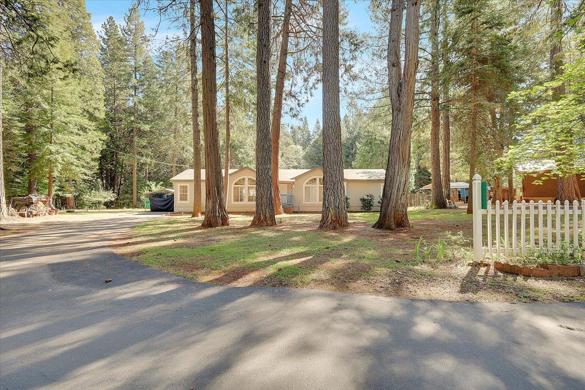 138 Big Fir Road Forbestown, CA 95941 - Photo 7 of 56 a view of a park with large trees