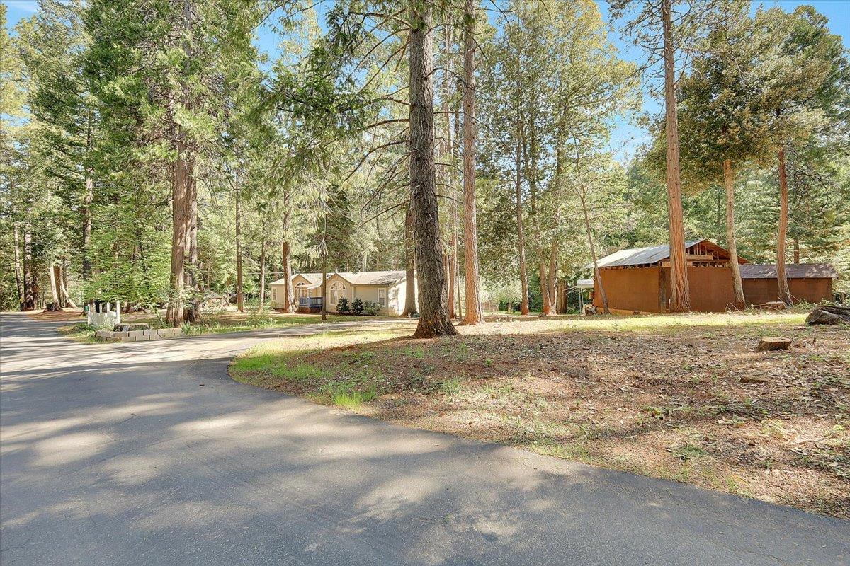 138 Big Fir Road Forbestown, CA 95941 - Photo 8 of 56 a view of street with large trees