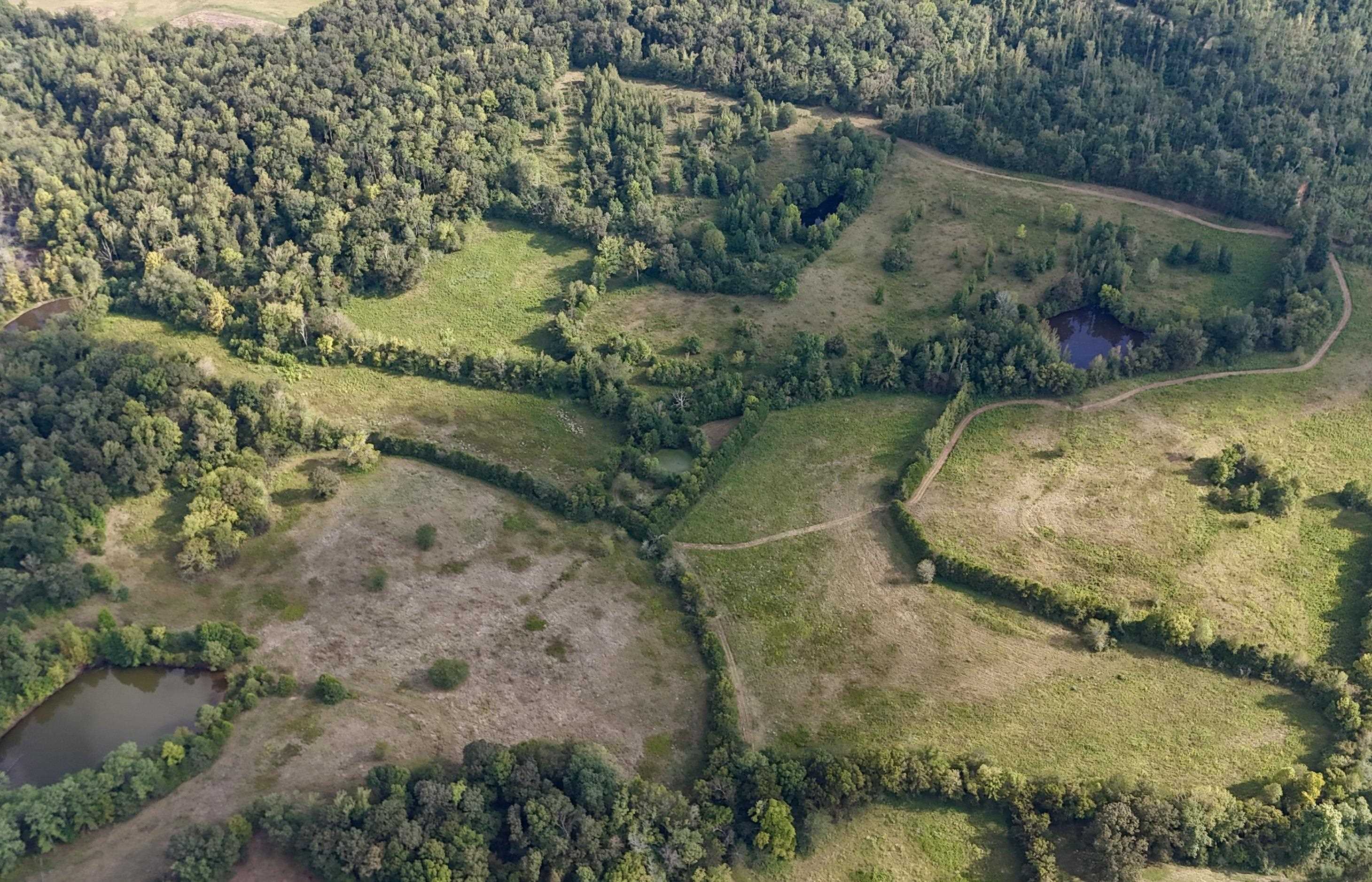 0 Middleburg Road Decaturville, TN 38329 - Photo 31 of 32 Aerial view of property's location with a forest