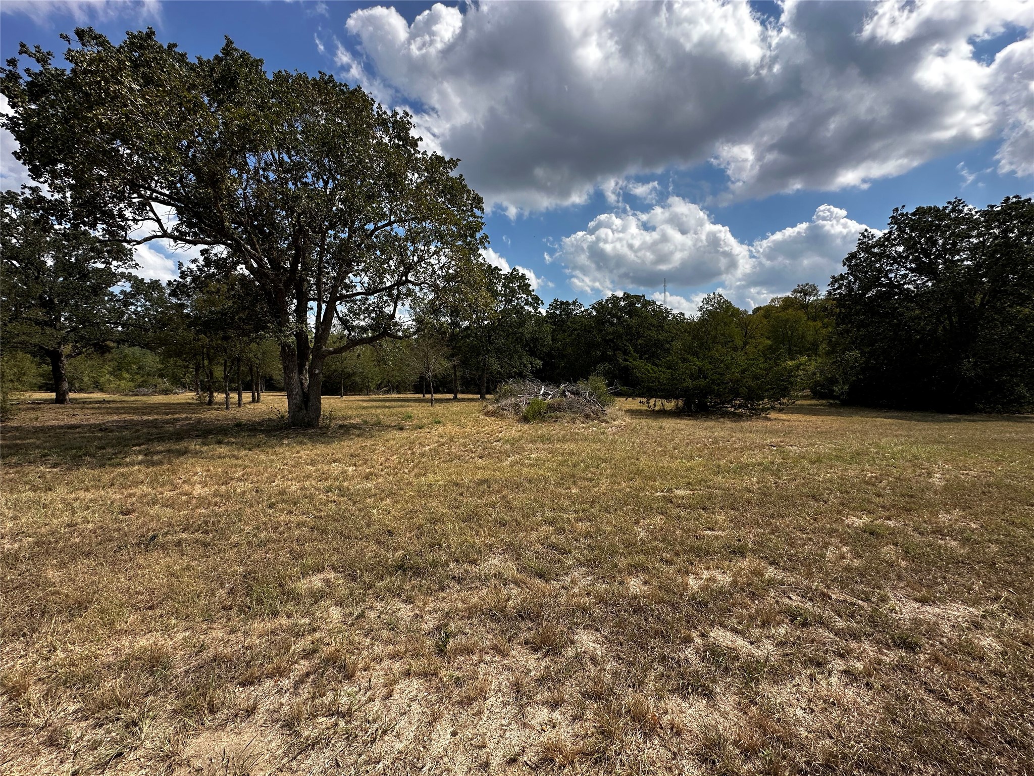 1535 Old Colony Line Road Dale, TX 78616 - Photo 3 of 10