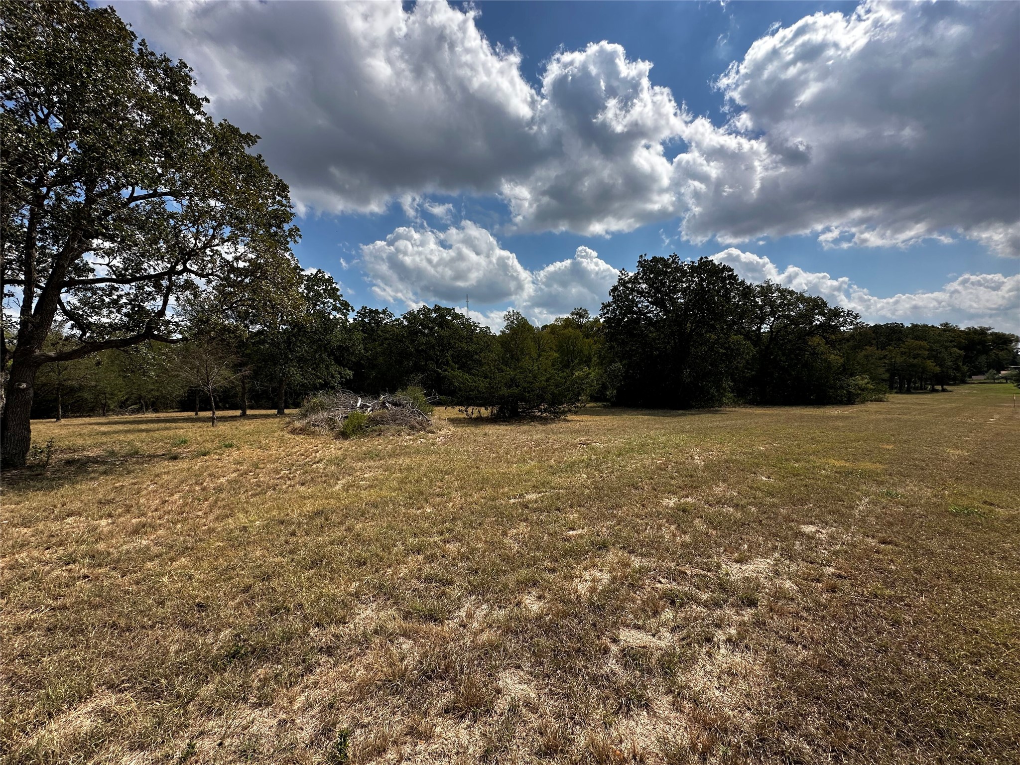 1535 Old Colony Line Road Dale, TX 78616 - Photo 4 of 10