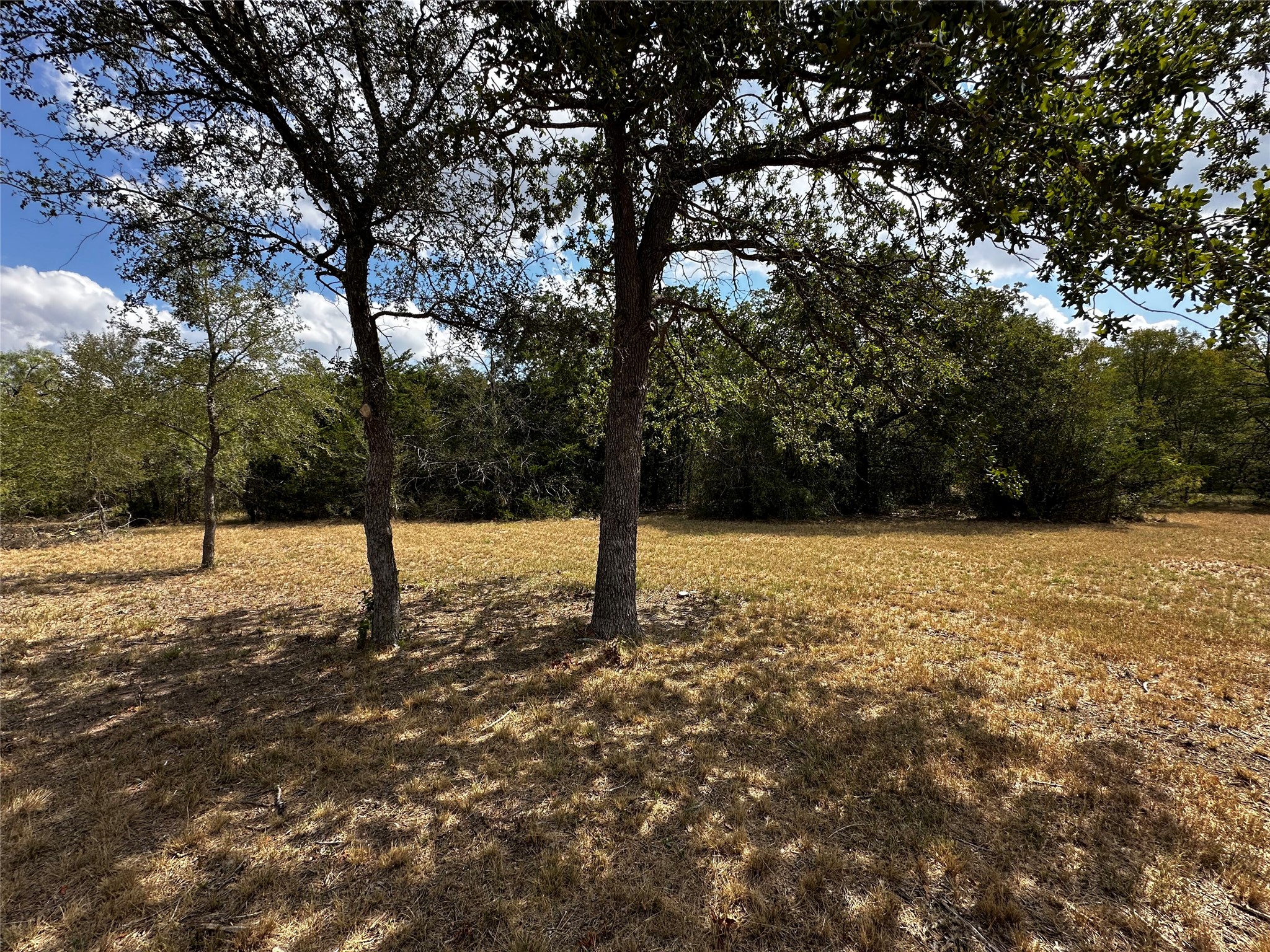1535 Old Colony Line Road Dale, TX 78616 - Photo 5 of 10