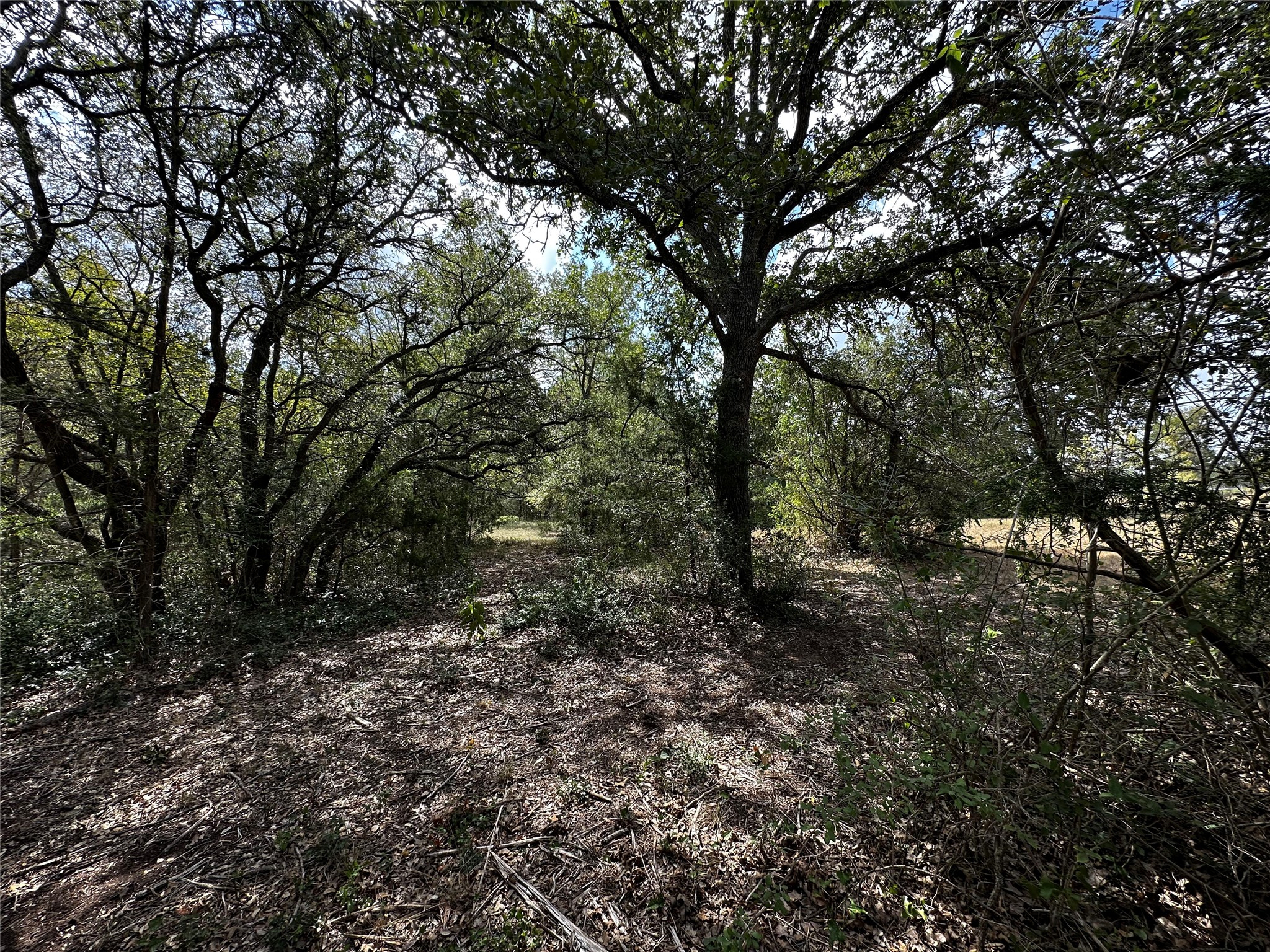 1535 Old Colony Line Road Dale, TX 78616 - Photo 8 of 10