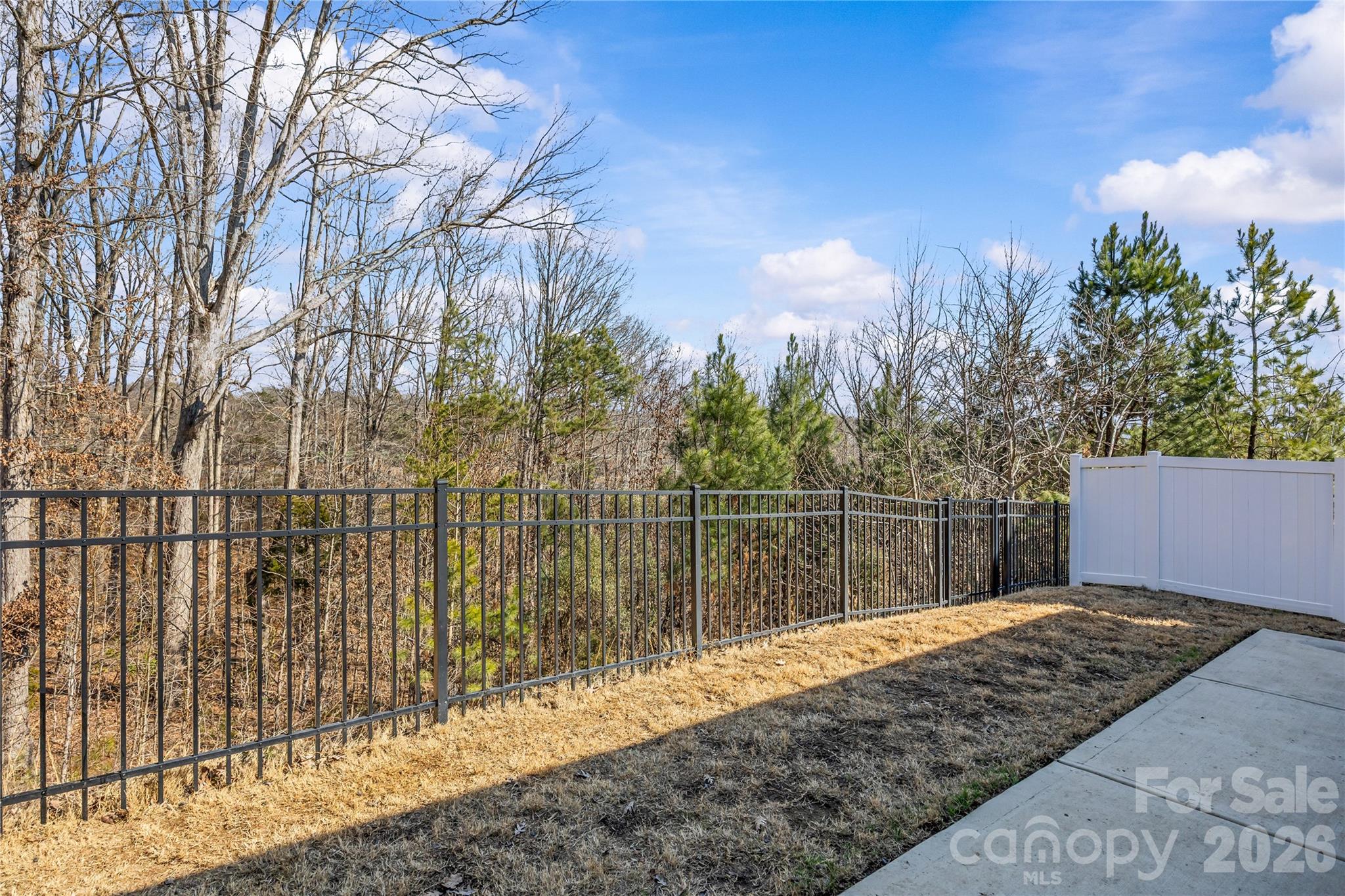 609 Cape Fear Street Fort Mill, SC 29715 - Photo 26 of 29