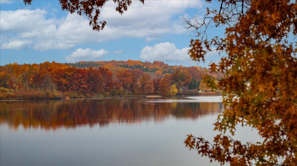 2772 Tim Avenue Brighton, MI 48114 - Photo 48 of 57 51-10-26-23-3