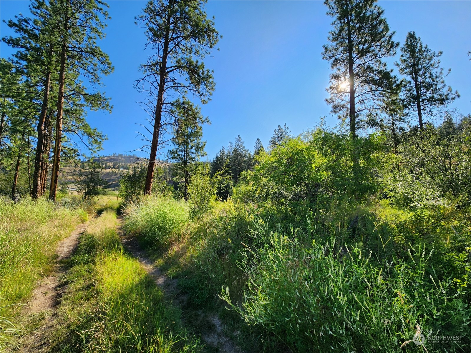 422 Swanson Mill Road Oroville, WA 98844 - Photo 1 of 14 Gallery Image 1