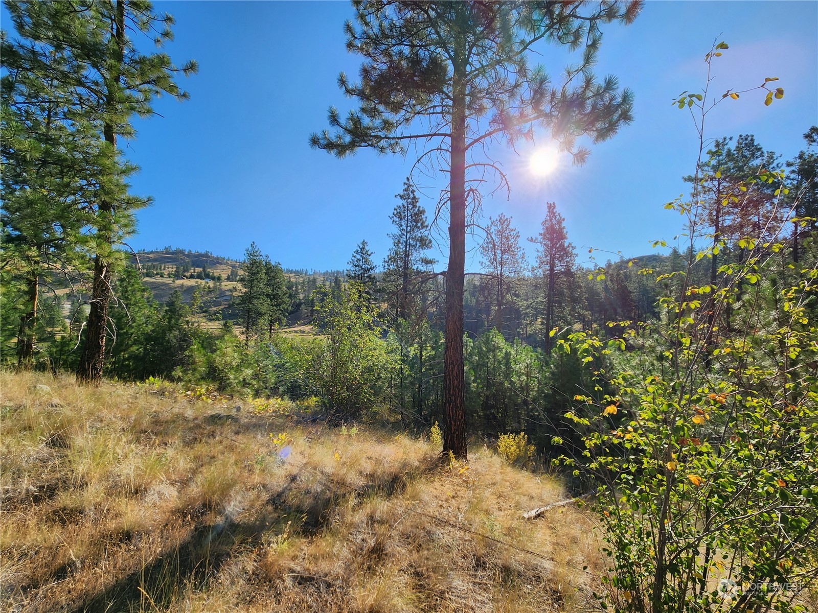 422 Swanson Mill Road Oroville, WA 98844 - Photo 12 of 14 Gallery Image 12