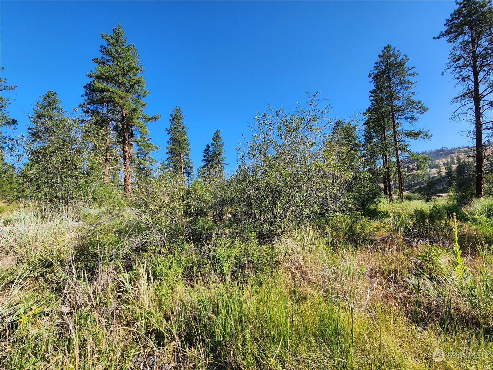 422 Swanson Mill Road Oroville, WA 98844 - Photo 14 of 14 Gallery Image 14