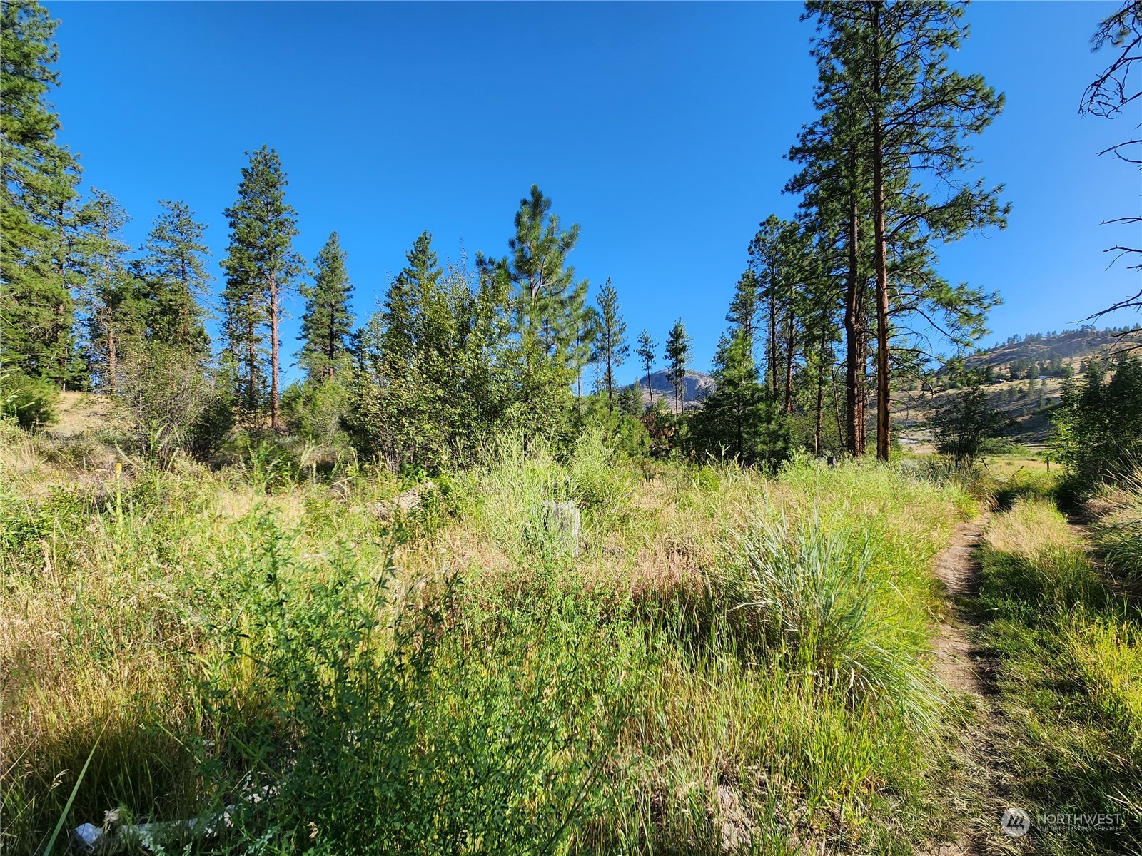422 Swanson Mill Road Oroville, WA 98844 - Photo 2 of 14 Gallery Image 2