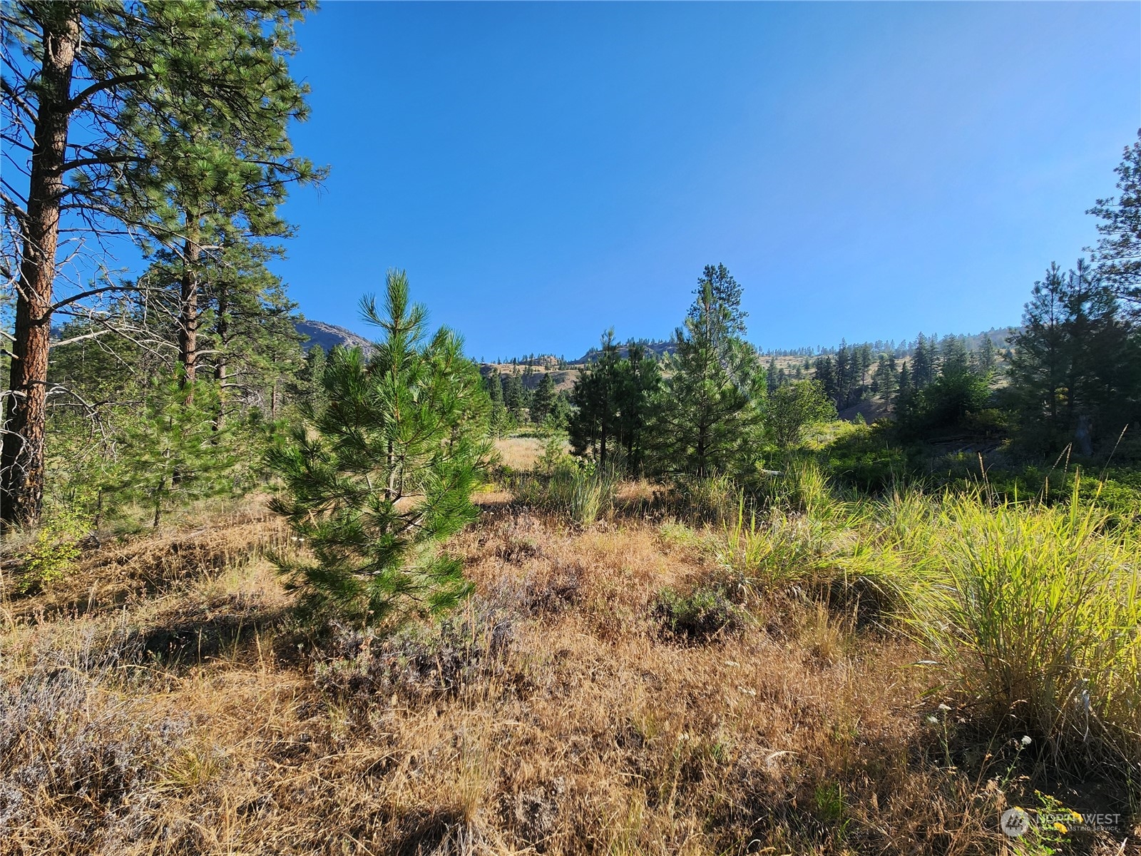 422 Swanson Mill Road Oroville, WA 98844 - Photo 3 of 14 Gallery Image 3