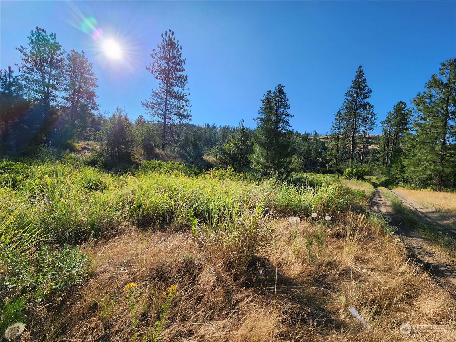 422 Swanson Mill Road Oroville, WA 98844 - Photo 4 of 14 Gallery Image 4