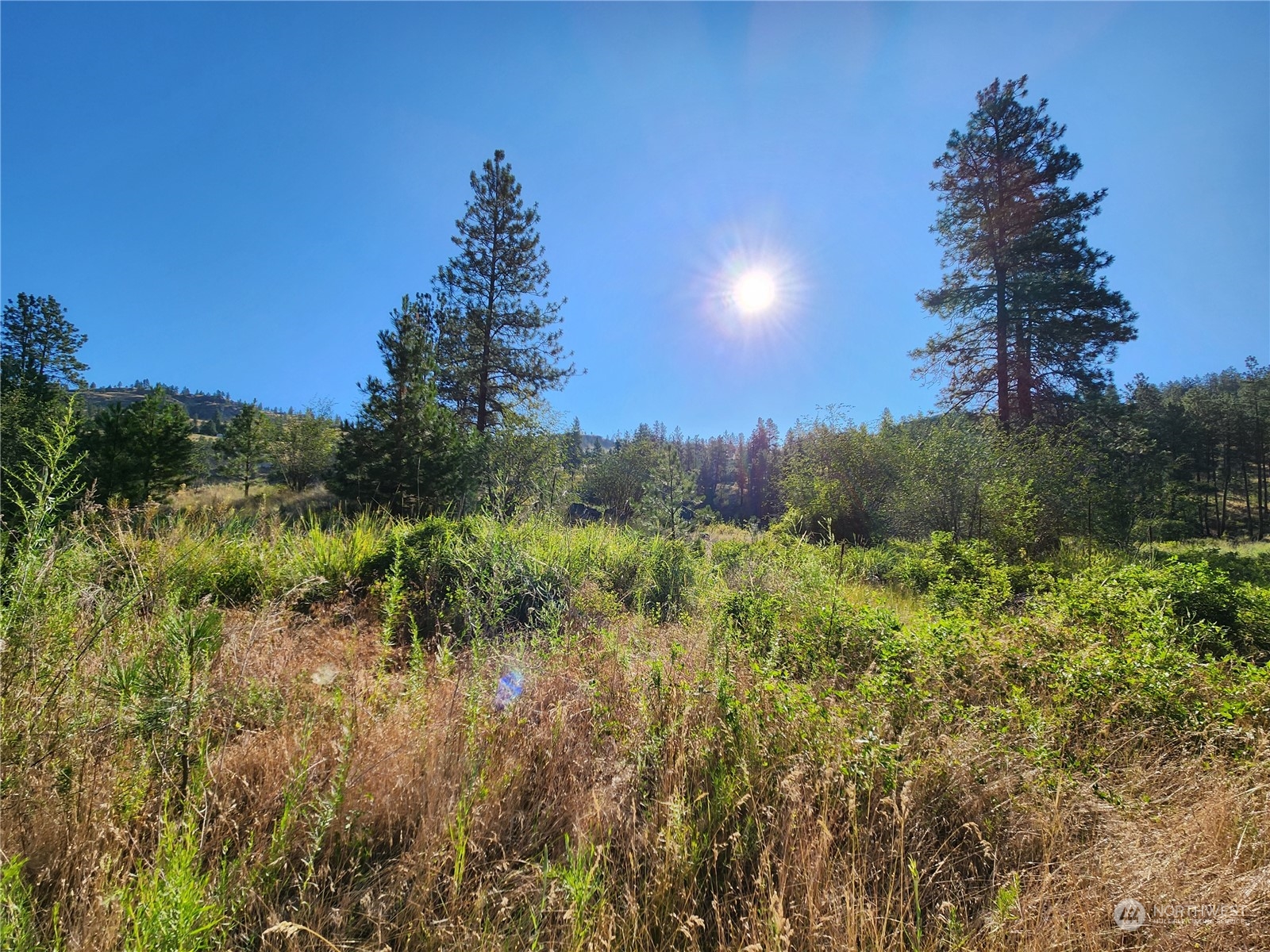 422 Swanson Mill Road Oroville, WA 98844 - Photo 5 of 14 Gallery Image 5