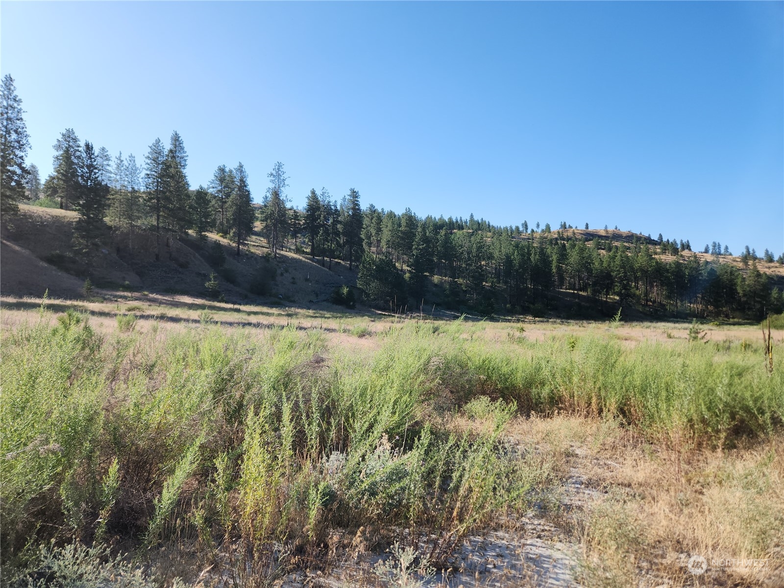422 Swanson Mill Road Oroville, WA 98844 - Photo 7 of 14 Gallery Image 7