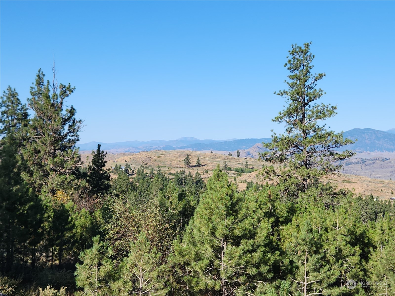 422 Swanson Mill Road Oroville, WA 98844 - Photo 8 of 14 Gallery Image 8
