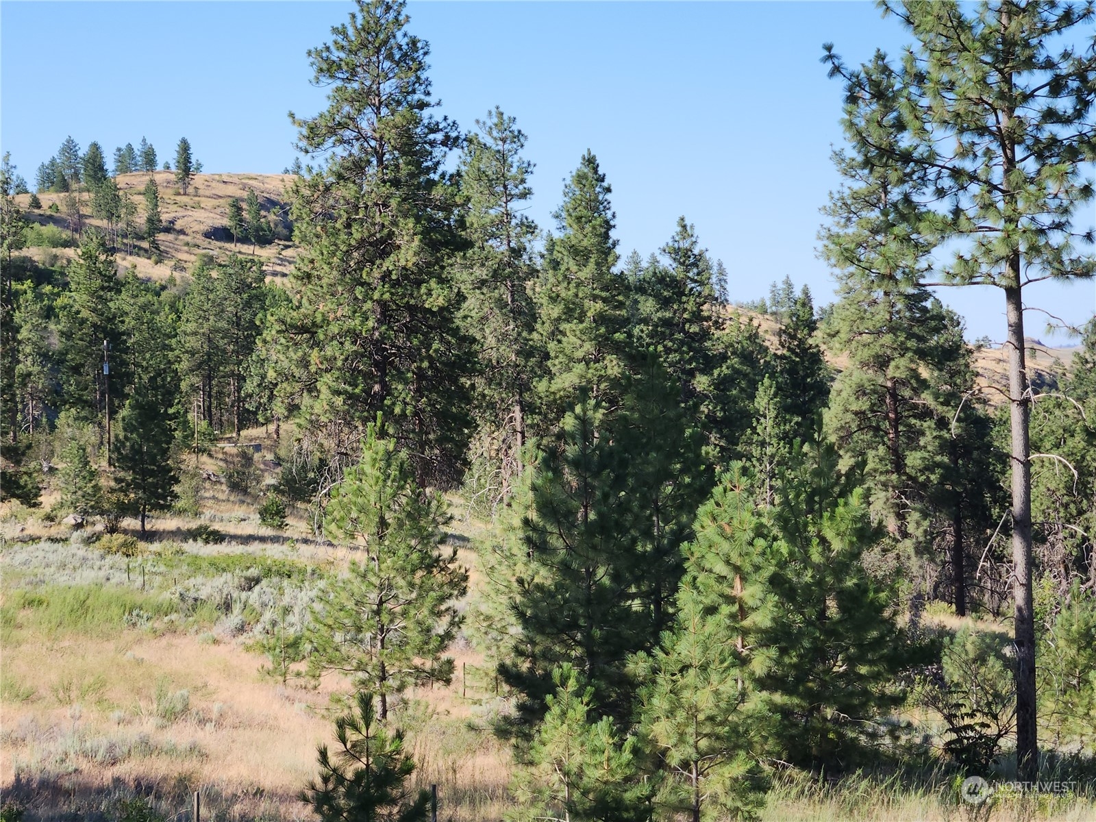 422 Swanson Mill Road Oroville, WA 98844 - Photo 10 of 14 Gallery Image 10