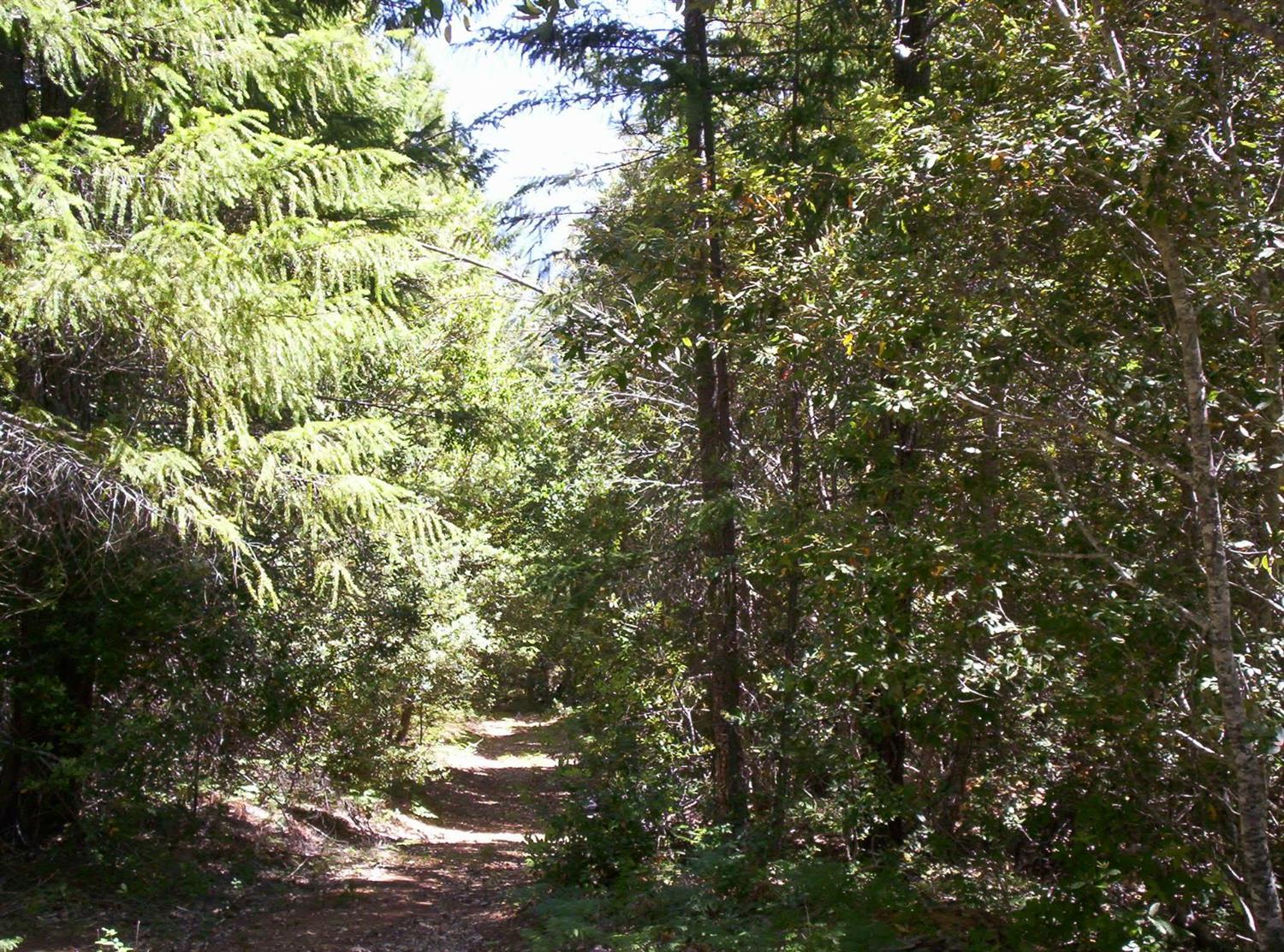 0 French Peak Road, Unit 401 Cave Junction, OR 97523 - Photo 4 of 7 Additional Photo