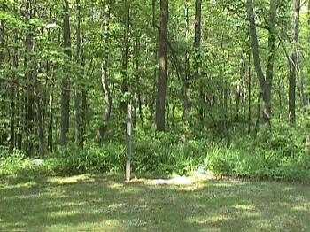 360 Pifer Road Dowling, MI 49050 - Photo 3 of 8 Additional Photo