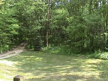 360 Pifer Road Dowling, MI 49050 - Photo 5 of 8 Additional Photo