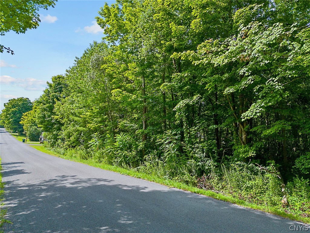 0 Perfield Road Hastings, NY 13076 - Photo 11 of 15