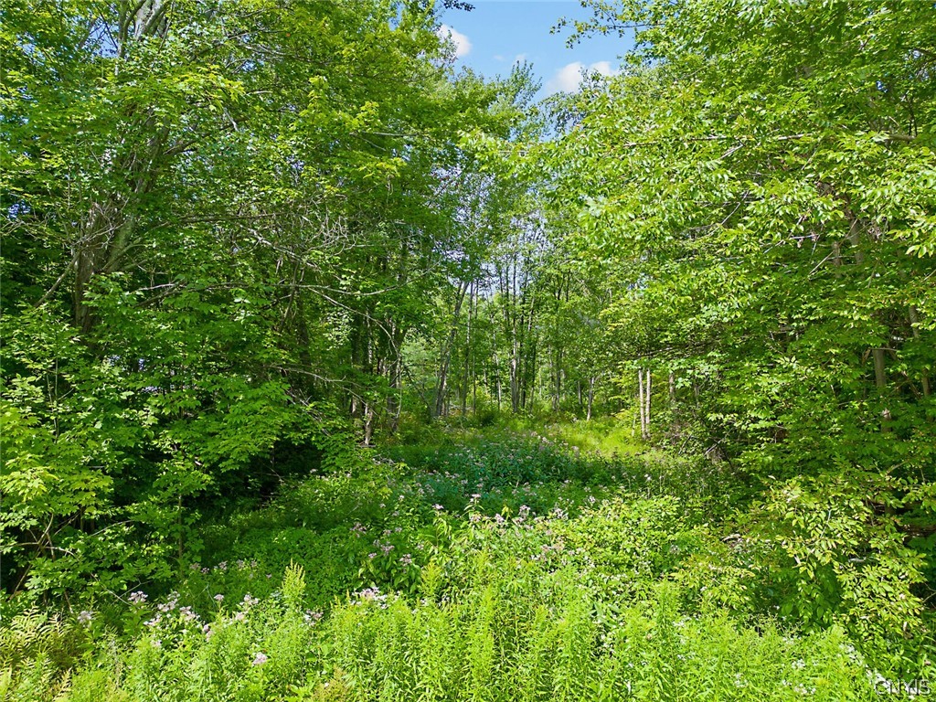 0 Perfield Road Hastings, NY 13076 - Photo 12 of 15