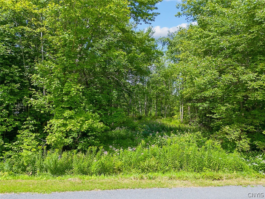 0 Perfield Road Hastings, NY 13076 - Photo 13 of 15